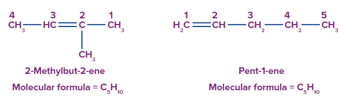 What is Structural Isomerism – Isomerism, its Classification ...