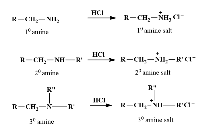 Amines Chemical Properties: Basic Nature of Amines, Carbylamine ...