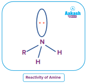 Amines Chemical Properties: Basic Nature of Amines, Carbylamine ...