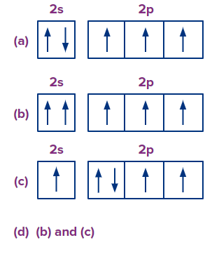 Pauli's Exclusion Principle - Statement, Examples, Practice Problems ...