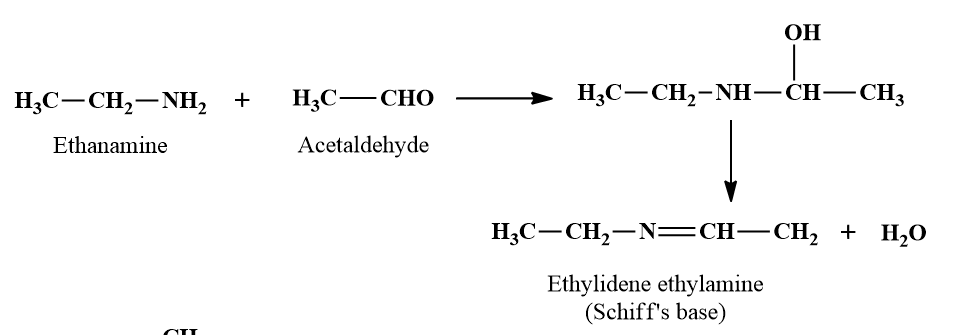 Amines Chemical Properties: Basic Nature of Amines, Carbylamine ...